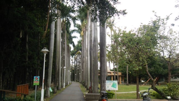 台南公園内の風景